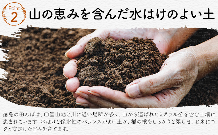 【先行予約】白米 徳島ふるさと応援米 20kg 《2026年11月以降順次出荷》 生活応援企画 米 精米 送料無料 徳島県 佐那河内村 白米 ブレンド米 こめ コメ お米