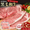 【ふるさと納税】【12回定期便】佐賀県産 黒毛和牛 贅沢 サーロイン ステーキ 250g×5枚（計1250g）【株式会社いろは精肉店】お肉 肉 牛肉 冷凍 和牛 [IAG095]