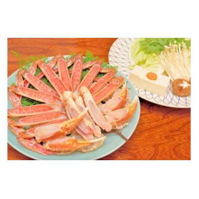 ふるさと納税 琴浦町 【先行予約】ブランドタグ付き 松葉ガニ(生)　1枚(800g以上)　【年明け配送】 |  | 02