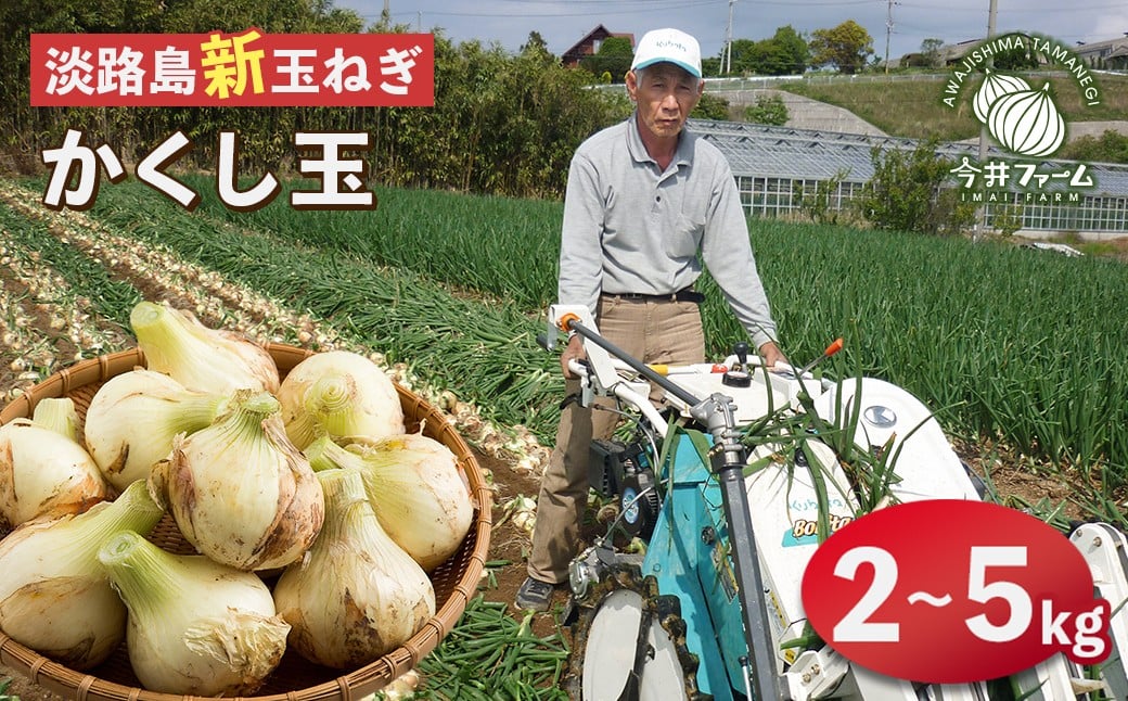 
                  【新たまねぎ】今井ファームの淡路島たまねぎ「かくし玉」 2kg・5kg【発送時期2026年4月下旬～5月頃】 
                