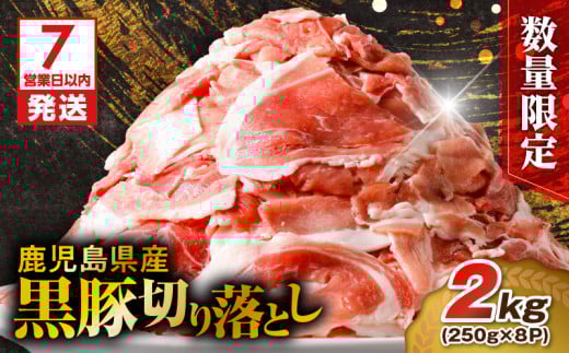 【7営業日以内に発送】【数量限定】鹿児島県産 黒豚切り落とし 2kg　K025-001_04