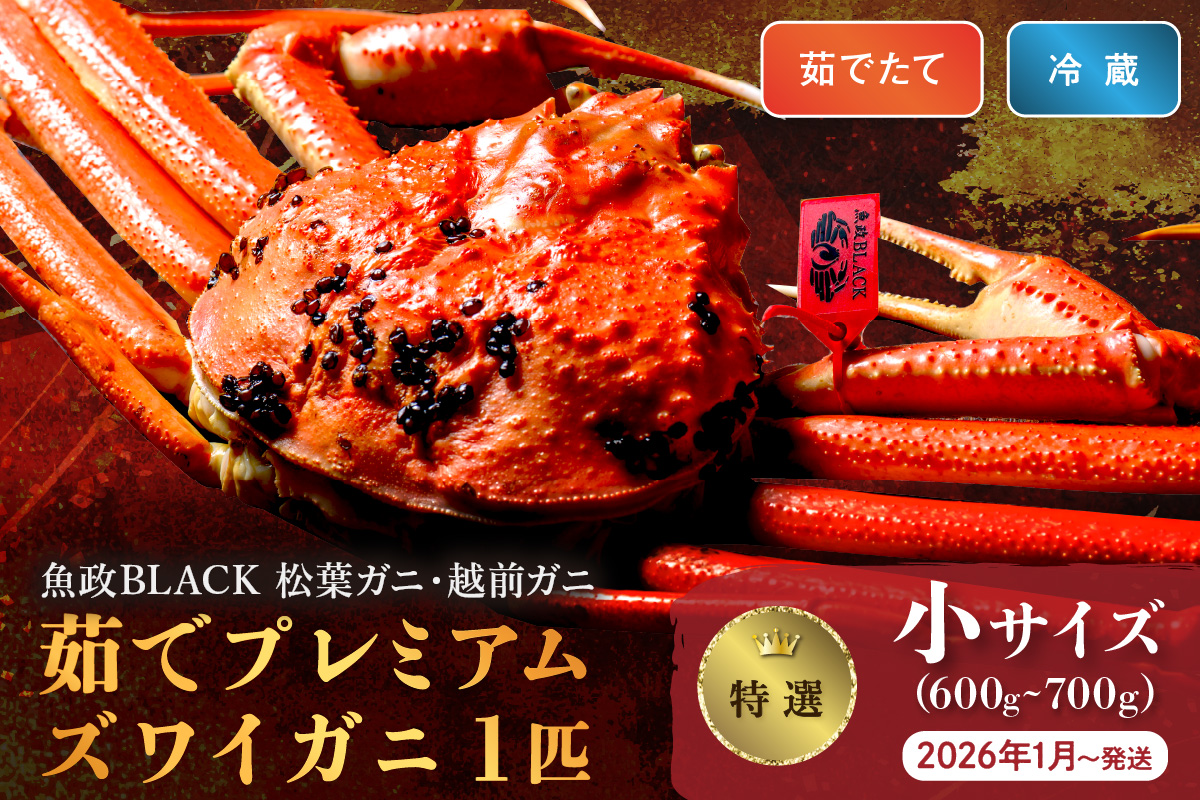 【蟹の匠 魚政】茹で　プレミアムズワイガニ 魚政BLACK（松葉ガニ・越前ガニ）特撰 小サイズ（600～700g） 1匹 (2026年1月～発送)