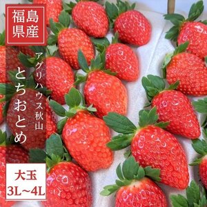 【アグリハウス秋山】 とちおとめ デラックス3L～4L 大玉 24～30粒【配送不可地域：離島・沖縄県】【1477696】