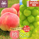 【ふるさと納税】 定期便 フルーツ 2025年 シャインマスカット 桃 山梨 県産 先行予約 期間限定 数量限定 生産量 日本一 フルーツ王国山梨 2ヶ月定期便 k212-012