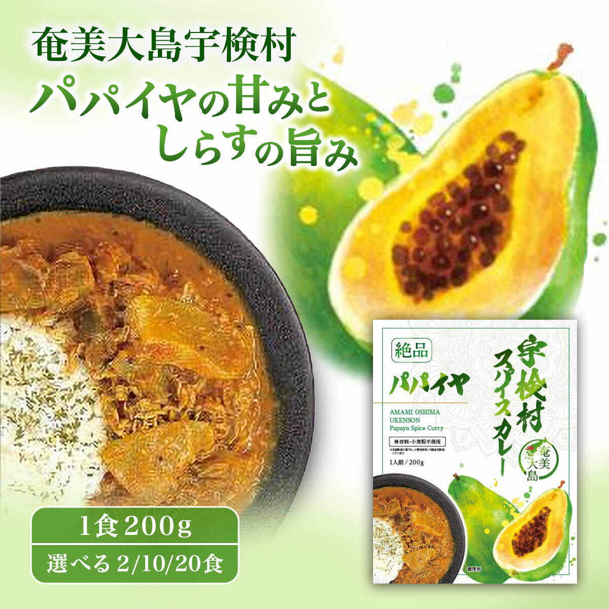 【ふるさと納税】宇検村スパイスカレー パパイヤ