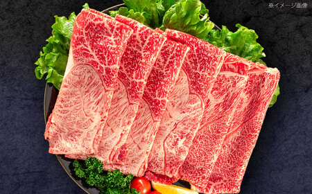 【6回定期便】長崎和牛 すき焼き・しゃぶしゃぶ用 赤身スライス600g (モモ・ウデ 各300g)【株式会社 黒牛】[OCE094]