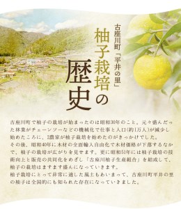 古座川町の しそジュース 300ml 3本 しそ シソ 紫蘇 ドリンク 和歌山【yuz137A】