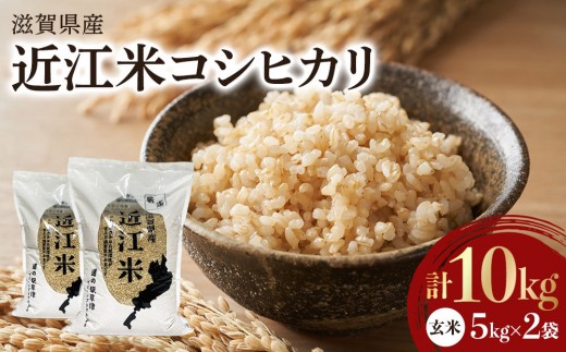 令和7年産　近江米コシヒカリ（玄米）5kg×2　計10kg