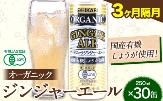 【3ヶ月隔月定期便】 ジンジャーエール 250ml×30缶 光食品株式会社 定期 隔月 計3回お届け 《お申込み月の翌月から出荷開始》 徳島県 上板町 ジュース 炭酸水 光食品 ジンジャーエール オーガニック 有機