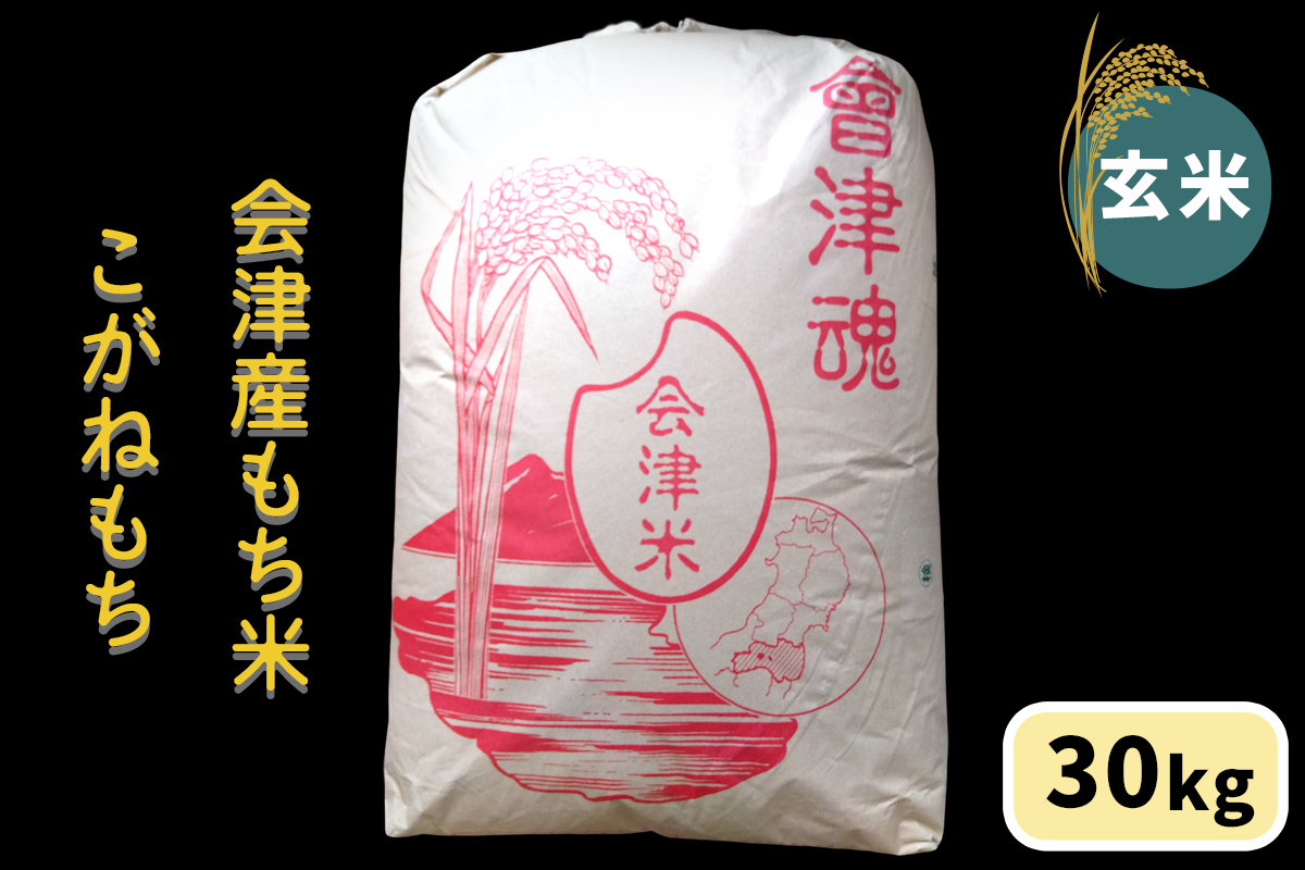 会津産もち米「こがねもち」【玄米】30kg｜令和7年産 2025年産 会津若松市 もちごめ 餅米 米 新米 [1042]
