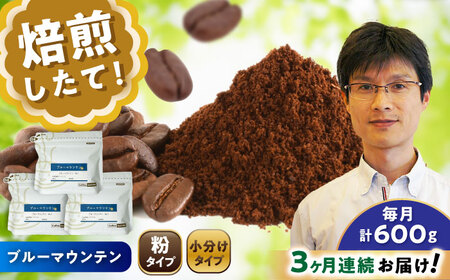 【全3回定期便】ブルーマウンテンNo.1　コーヒー粉　200g×3個(粉/中挽き)  / コーヒー  ドリップ  粉 / Coffee SAKURA[BBAB091]