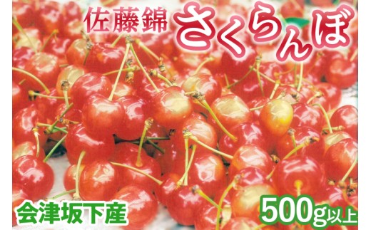 45-A 会津坂下産 さくらんぼ（佐藤錦）｜ 500g以上 3Lサイズ 冷蔵便 サクランボ 佐藤農園 化粧箱　※2026年6月下旬頃～7月上旬頃に順次発送