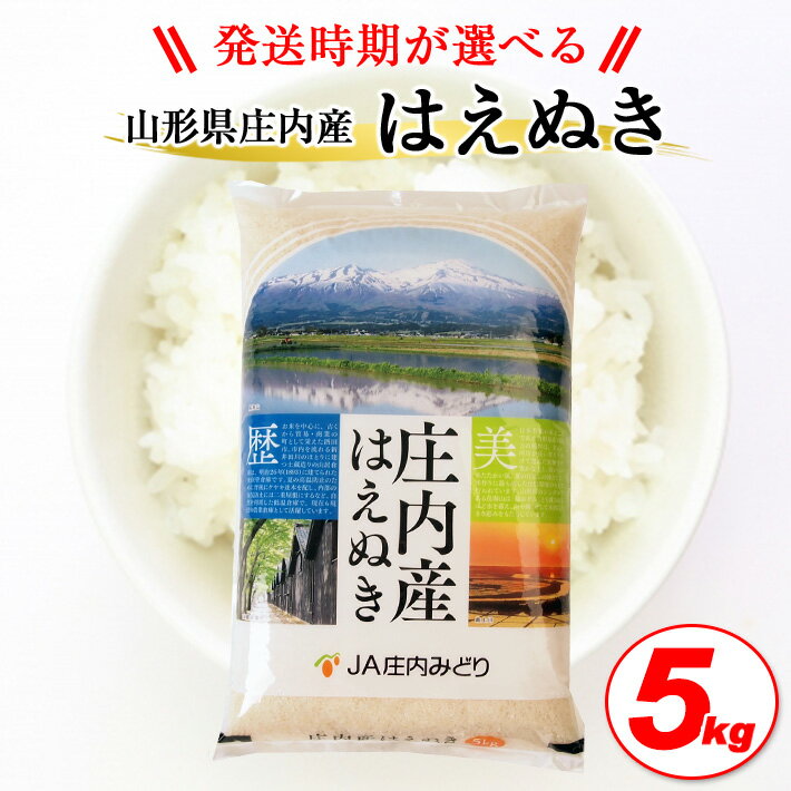 【ふるさと納税】はえぬき 5kg 令和7年産米 山形県庄内産 ご希望の時期頃にお届け 米 お米 精米 白米 農協 JA 発送時期が選べる