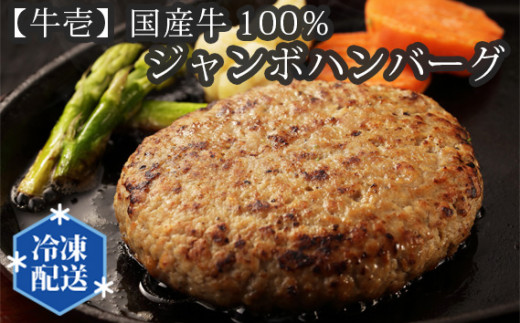 
No.200 【牛壱】国産牛100％ジャンボハンバーグ5個　300ｇ×5個 ／ 豚肉 自家製ダレ 大阪府
