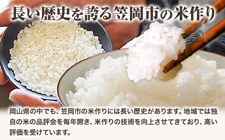 【令和8年7月発送】【先行予約】令和7年産 10kg 米 予約 ふるさと米 備中笠岡 人気品種をお届け！ 国産 ヒノヒカリ にこまる きぬむすめ お米 ブランド米 おにぎり 弁当 単一原料米 お取り寄