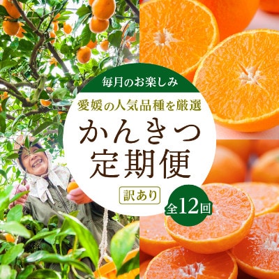 【発送月固定定期便】愛媛の人気品種を厳選!みかん定期便(訳あり)【H25−171】全12回【配送不可地域：離島】【4056289】