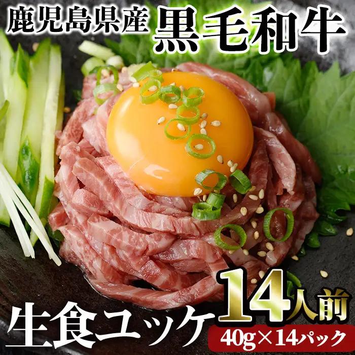 鹿児島県産 黒毛和牛 ユッケ 14人前(40g×14パック)【LRプラスK】A490-v01