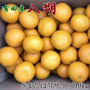 【ふるさと納税】【手選果】有田産の八朔10kg（SまたはMサイズいずれかお届け）★2025年1月中旬より順次発送