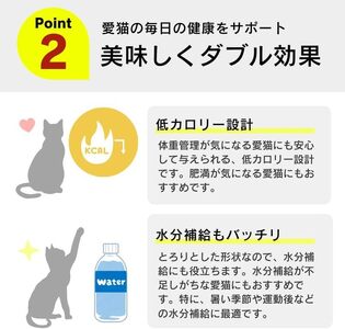 とろーりおやつ 猫用（毛玉ケアに配慮 ツナ＆かつお節味）140g×48個_とろーりおやつ 猫用 140g × 48個 ツナ＆かつお節味 毛玉ケア 液状タイプ おやつ 水分補給 低カロリー 体重管理 長