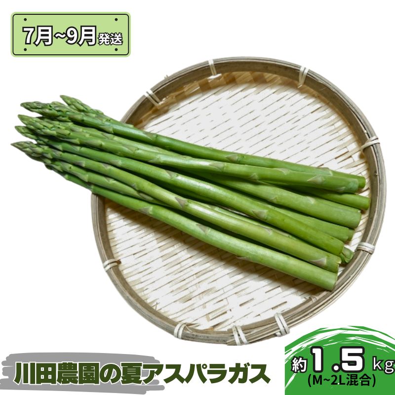 【ふるさと納税】アスパラガス 先行予約 夏アスパラガス 約1.5kg+100g M～2L 混合 川田農園 アスパラ グリーンアスパラ 野菜 夏野菜 旬 旬の野菜 産地直送 2025年 2025 予約 青森 冷蔵 冷蔵配送 7月～9月発送　お届け：2026年7月25日～2026年9月10日