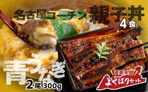 青うなぎ＆親子丼 渥美半島よくばりセット 年内 蒲焼き 鰻 ウナギ うなぎ蒲焼 惣菜 幻 簡単調理 おいしい 高評価 ふるさと納税 魚 さかな 魚介 ランキング 名古屋コーチン 鶏肉 ふるさとチョイス キャンペーン おすすめ