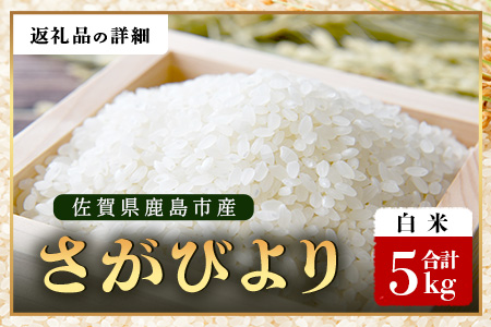 先行受付 ＼生産者直送／ さがびより 白米5kg 佐賀県 鹿島市C-153