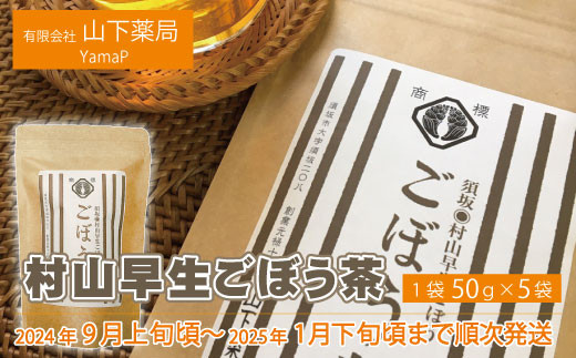 [No.5657-3993]村山早生ごぼう茶 50g入り×5袋《有限会社　山下薬局》■2024年～2025年発送■※9月上旬頃～1月下旬頃まで順次発送予定