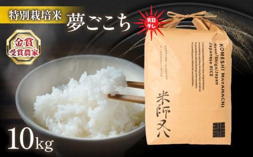 令和6年産 新米 夢ごこち 10kg 天日干し ( 2024年産 ブランド 米 rice 精米 白米 ご飯 内祝い もちもち 国産 送料無料 滋賀県 竜王 ふるさと納税 )