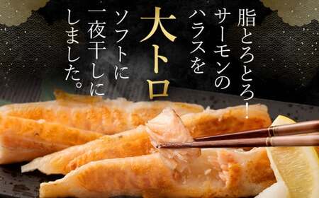 アトランティックサーモン 大トロサーモンハラス干し 約2kg サーモン ハラス 魚 さかな 一夜干し おかず