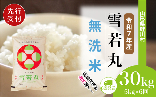 ＜令和7年産米先行受付＞ 山形県産 雪若丸 【無洗米】30kg定期便 (5kg×6回)　配送時期指定できます！