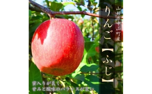 
            【令和7年産先行受付】中山町産 りんご＜ふじ＞特秀品　約5kg
          
