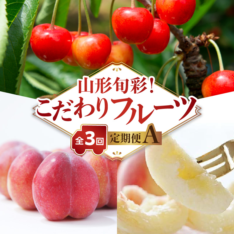 《先行受付》【発送月固定】山形旬彩！こだわりフルーツ定期便全３回Ａ