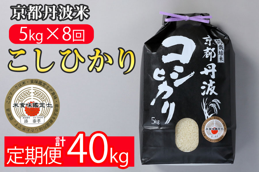 【9月より新米】【定期便】米 京都丹波米こしひかり5kg×8回 計40kg◇◆◇ 定期便 8回定期便 米 白米 5kg 8ヶ月 ※精米したてをお届け ｜ 米・食味鑑定士厳選 コシヒカリ 京都丹波産 ※