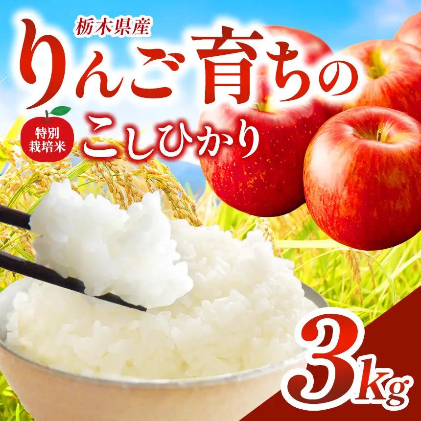 お米 矢板市特別栽培米「コシヒカリ」りんご育ちの こしひかり 3kg 