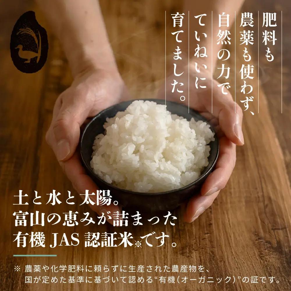 有機米 コシヒカリ 10kg　棚田-tanata-（有機JAS認証米） 米 白米 精米