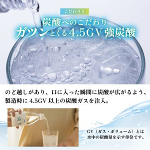 【毎月定期便】サーフ　爽雫(ソーダ)強炭酸水1L×12本　1ケース　国産炭酸水全6回【4050651】