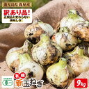 【ふるさと納税】【期間限定】【訳あり品】 鹿児島県 鹿屋産 有機 新玉ねぎ 9kg 訳アリ 新玉ねぎ ミネラル 豊富な 土壌で育った 鮮度が高くみずみずしい 生でも美味しい 甘味 スライス サラダ スープ 味噌汁 カレー ハンバーグ 焼肉 天ぷら たまねぎ タマネギ 【財宝】