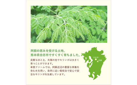 幸恵ファーム 純100％モリンガなめらかパウダー 30g×1個入【一般社団法人クラッシーノこうし】[AYAB063]