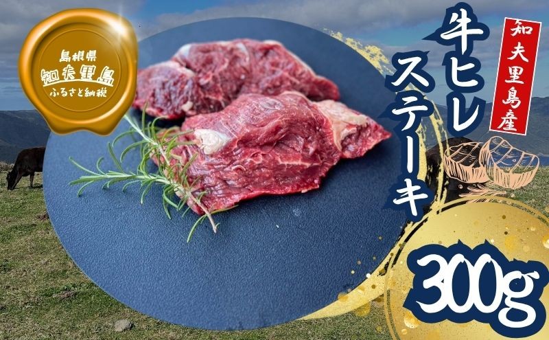 
            【TBS 「熱狂マニアさん！」で紹介】 経産牛ヒレステーキ300g 国産 牛肉 赤身 放牧 牛ヒレステーキ用 肉 冷凍 ステーキ おうち時間 
          