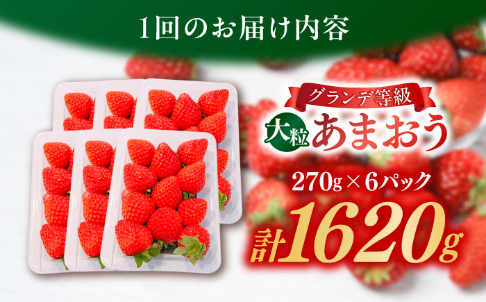 【全2回定期便】【2026年3月初旬より順次発送】 あまおう いちご 1620g (約270g×6パック) 吉富町/株式会社HSP-テクノ [BGBQ004]