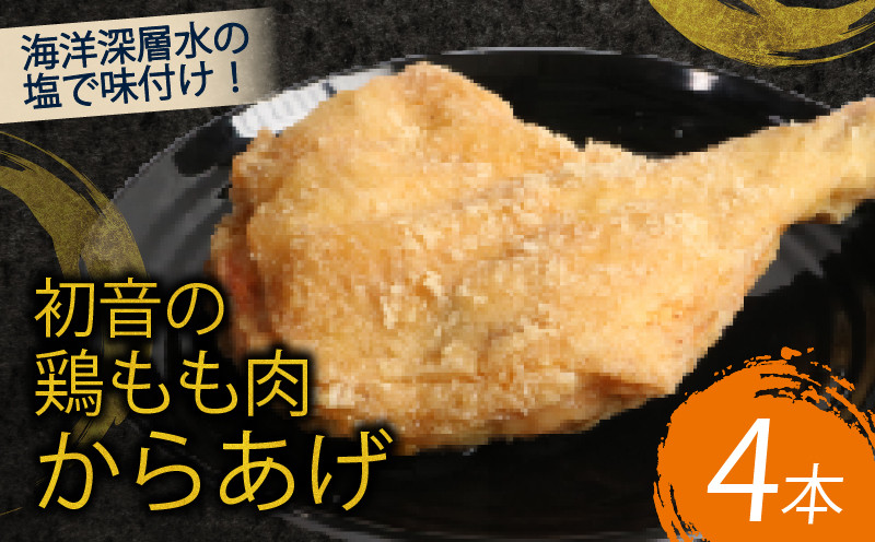 
            室戸の恵み！海洋深層水の塩で味付け！初音の鶏もも肉からあげ【４本】唐揚げ しおからあげ 塩からあげ 肉料理 簡単調理 クリスマス Xmas チキン
          
