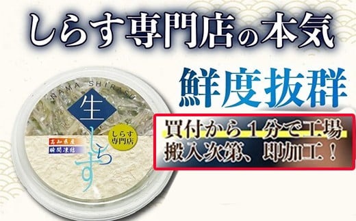 土佐のお刺身「生しらす」6個セット <タレなし>