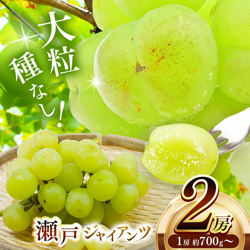 【ふるさと納税】 瀬戸ジャイアンツ 2房 (1房約700g～) | 果物 くだもの フルーツ ぶどう ブドウ 葡萄 兵庫県 上郡町