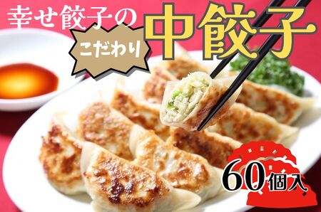 幸せ餃子のボリューム満点こだわり中餃子60個入り 