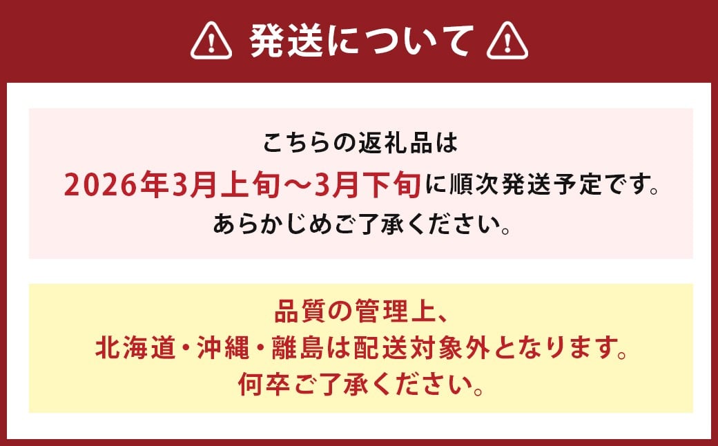 【訳あり】 福岡県産 あまおう 約1.3kg 約330g×4パック【2026年3月上旬～3月下旬発送】 中粒 小粒 いちご 苺 イチゴ 果物 フルーツ 