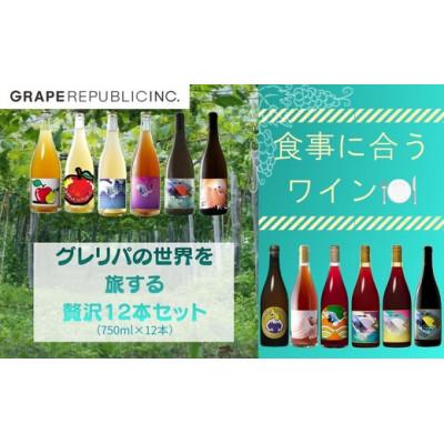 ふるさと納税 南陽市 グレリパの世界を旅する豪華12本セット 750ml × 12本 [S2710]