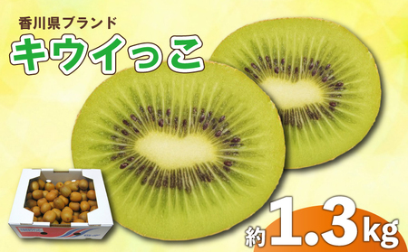 さぬきキウイっこ 約1.3kg 先行予約 サイズ混合 キウイ