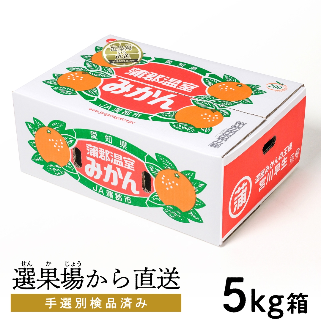 【期間限定】蒲郡温室みかん ５kg（秀品）_【G0356】