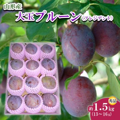 ふるさと納税 山形市 山形市産 大玉プルーン(プレジデント) 秀 約1.5kg 【令和8年産】FU22-757
