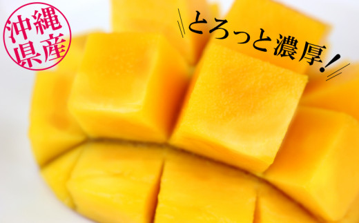 【先行受付】【2025年発送】ヤマト農園 アップルマンゴー訳あり約2kg（4～6玉）- 先行予約 沖縄県産 産地直送 南国フルーツ 旬の味覚 季節の果物 ご自宅用 訳アリ 沖縄マンゴー 沖縄県 八重瀬